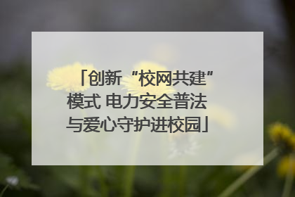 创新“校网共建”模式 电力安全普法与爱心守护进校园