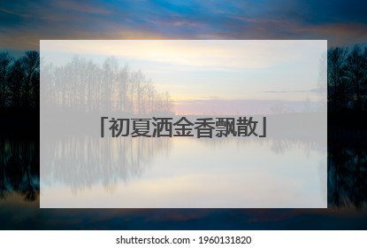 初夏洒金香飘散