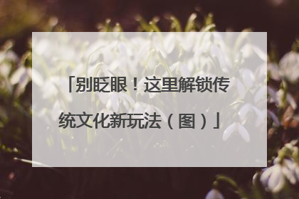 别眨眼！这里解锁传统文化新玩法（图）