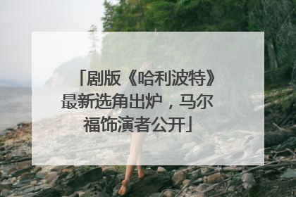 剧版《哈利波特》最新选角出炉，马尔福饰演者公开