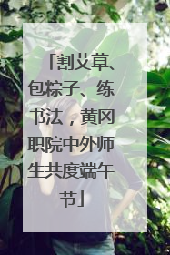 割艾草、包粽子、练书法，黄冈职院中外师生共度端午节