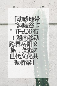 动感地带“洞庭谷卡”正式发布！湖南移动跨界岳阳文旅，架起Z世代文化共振桥梁