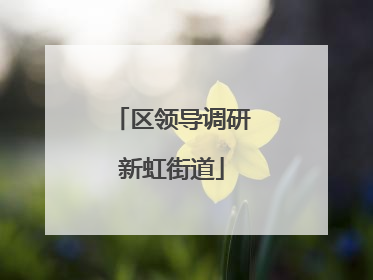 区领导调研新虹街道