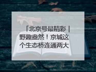 北京号最精彩｜野趣盎然！京城这个生态桥连通两大网红公园