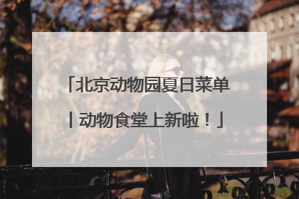 北京动物园夏日菜单丨动物食堂上新啦！