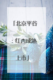 北京平谷：红杏成熟上市