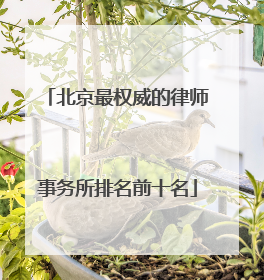 北京最权威的律师事务所排名前十名