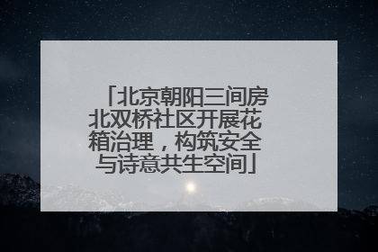 北京朝阳三间房北双桥社区开展花箱治理，构筑安全与诗意共生空间