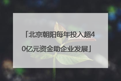 北京朝阳每年投入超40亿元资金助企业发展