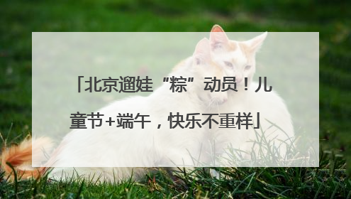 北京遛娃“粽”动员！儿童节+端午，快乐不重样