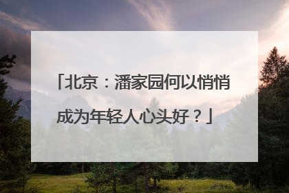 北京：潘家园何以悄悄成为年轻人心头好？