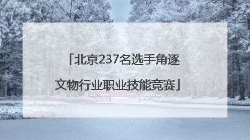 北京237名选手角逐文物行业职业技能竞赛