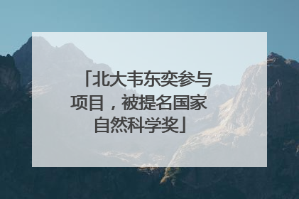 北大韦东奕参与项目，被提名国家自然科学奖