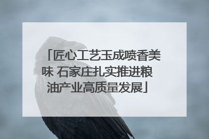 匠心工艺玉成喷香美味 石家庄扎实推进粮油产业高质量发展