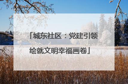 城东社区：党建引领绘就文明幸福画卷