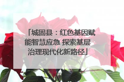 城固县：红色基因赋能智慧应急 探索基层治理现代化新路径