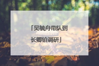 吴毓舟带队到长卿镇调研