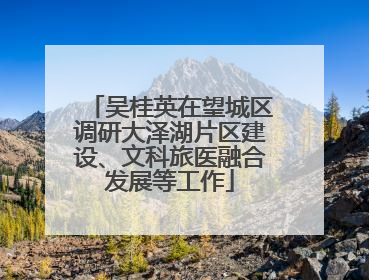 吴桂英在望城区调研大泽湖片区建设、文科旅医融合发展等工作