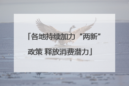 各地持续加力“两新”政策 释放消费潜力