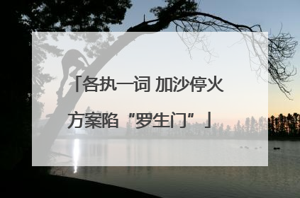 各执一词 加沙停火方案陷“罗生门”