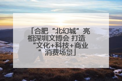 合肥“北幻城”亮相深圳文博会 打造“文化+科技+商业”消费场景