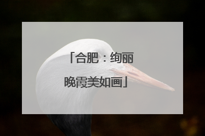 合肥：绚丽晚霞美如画