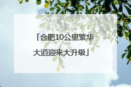 合肥10公里繁华大道迎来大升级