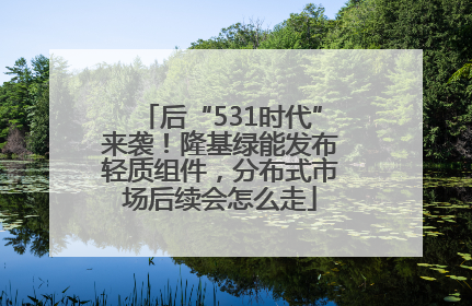 后“531时代”来袭！隆基绿能发布轻质组件，分布式市场后续会怎么走