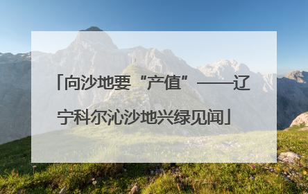 向沙地要“产值”——辽宁科尔沁沙地兴绿见闻