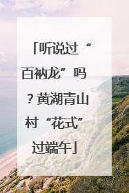 听说过“百衲龙”吗？黄湖青山村“花式”过端午