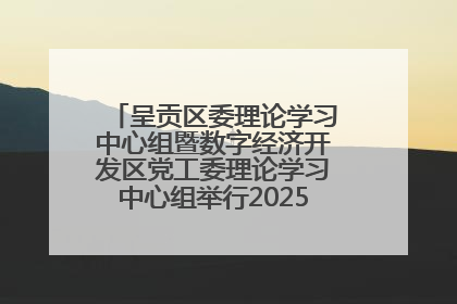 呈贡区委理论学习中心组暨数字经济开发区党工委理论学习中心组举行2025年第七次学习会议