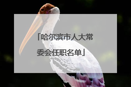 哈尔滨市人大常委会任职名单