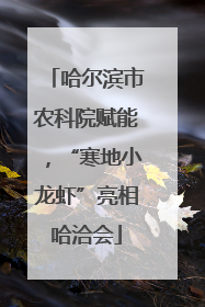 哈尔滨市农科院赋能，“寒地小龙虾”亮相哈洽会