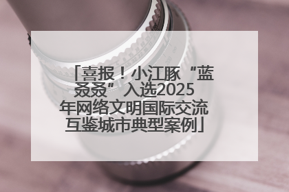 喜报！小江豚“蓝叒叒”入选2025年网络文明国际交流互鉴城市典型案例