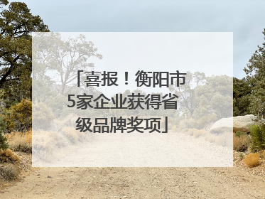 喜报！衡阳市5家企业获得省级品牌奖项
