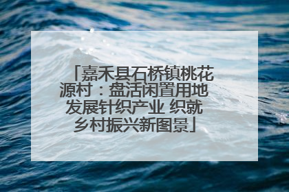 嘉禾县石桥镇桃花源村：盘活闲置用地发展针织产业 织就乡村振兴新图景