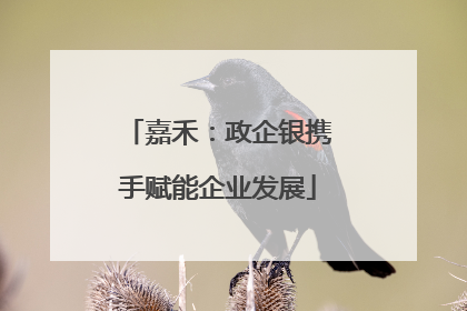 嘉禾：政企银携手赋能企业发展