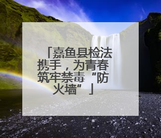 嘉鱼县检法携手，为青春筑牢禁毒“防火墙”