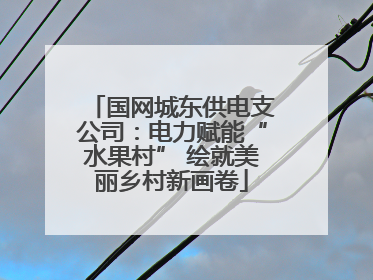 国网城东供电支公司：电力赋能“水果村” 绘就美丽乡村新画卷