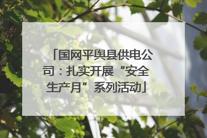 国网平舆县供电公司：扎实开展“安全生产月”系列活动