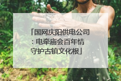 国网庆阳供电公司：电牵庙会百年情 守护古镇文化根