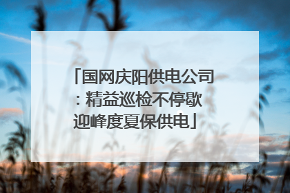 国网庆阳供电公司：精益巡检不停歇 迎峰度夏保供电