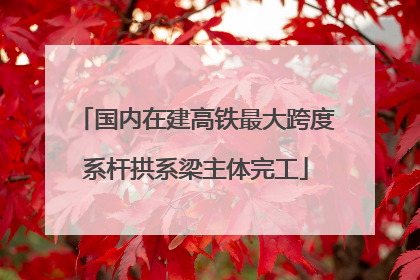 国内在建高铁最大跨度系杆拱系梁主体完工