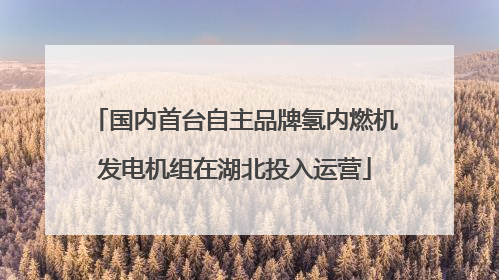 国内首台自主品牌氢内燃机发电机组在湖北投入运营