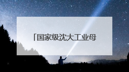 国家级沈大工业母机集群对接会举办