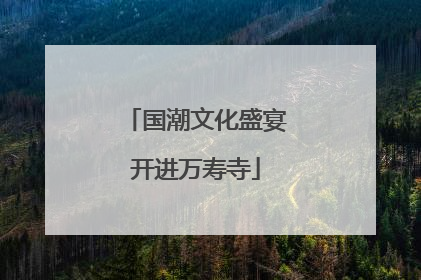 国潮文化盛宴开进万寿寺