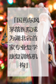 国药东风茅箭医院成为湖北省首家专业复学康复训练机构