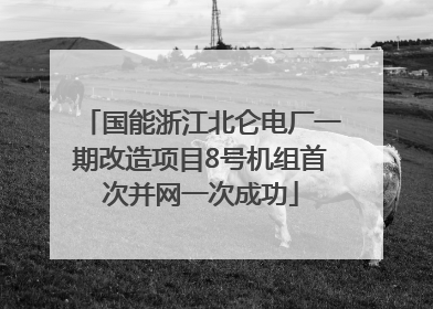 国能浙江北仑电厂一期改造项目8号机组首次并网一次成功