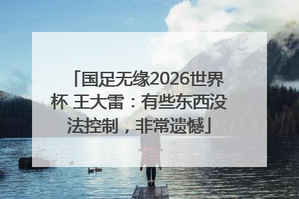 国足无缘2026世界杯 王大雷：有些东西没法控制，非常遗憾