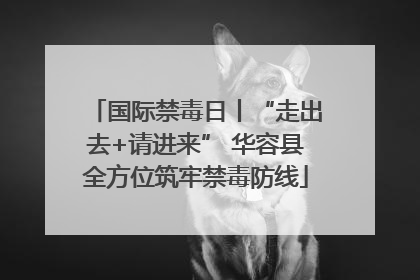 国际禁毒日丨“走出去+请进来” 华容县全方位筑牢禁毒防线